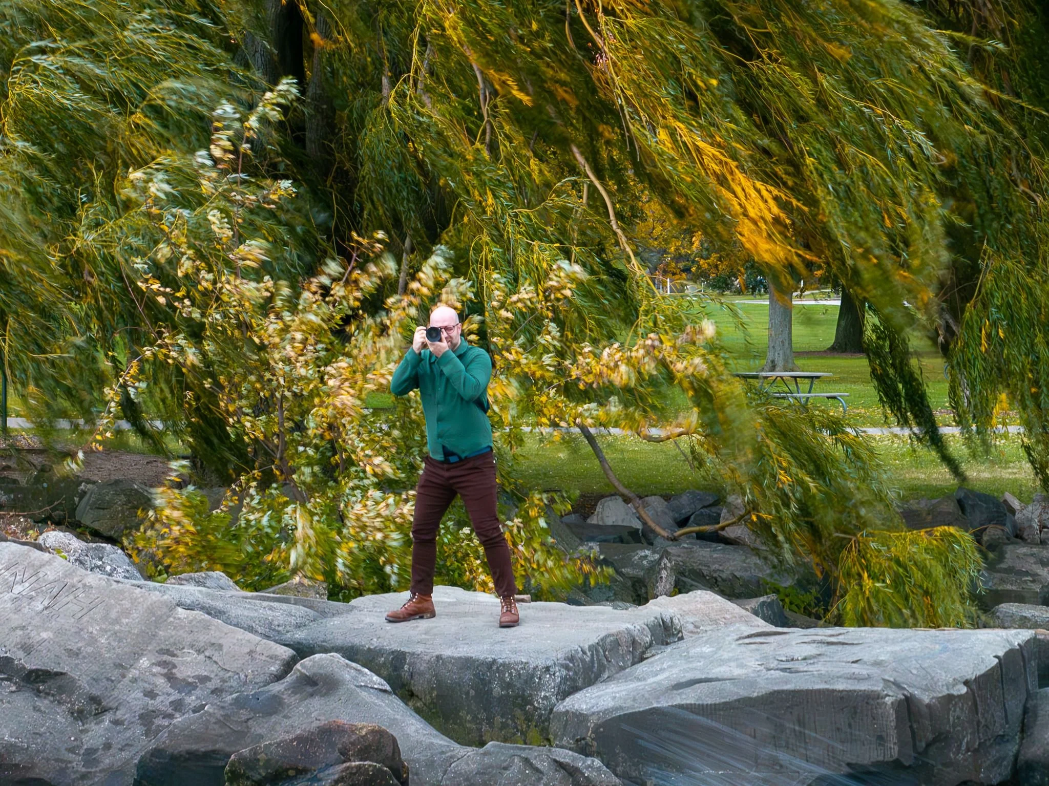 How a willow tree on the coast of Lake Erie changed my life and